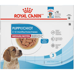 Royal Canin® Size Health Nutrition™ Medium Puppy Chunks in Gravy Pouch Dog Food, 4.9 oz, 10-pack