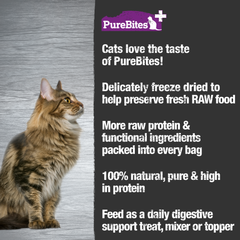 PureBites+ Cat Treats, Gut & Digestion, 31g | 1.09oz, Value Size