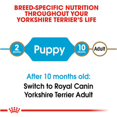 Royal Canin® Breed Health Nutrition® Yorkshire Terrier Puppy Dry Dog Food, 2.5 lb