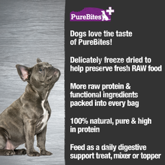 PureBites+ Dog Treats, Gut & Digestion, 85g | 3.0oz, Mid Size