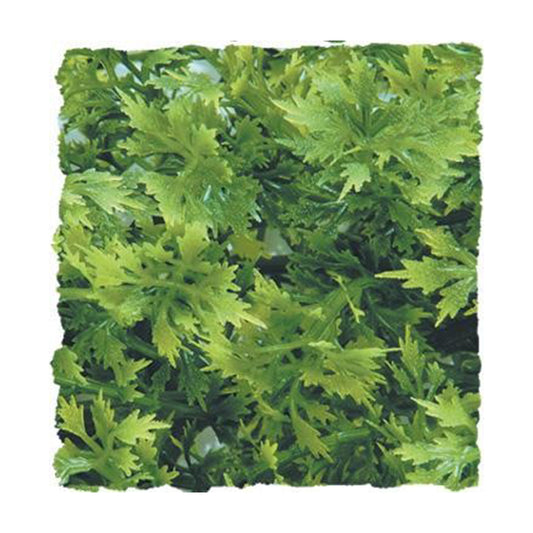 Zoo Med Laboratories Natural Bush™ Australian Maple Plant for Reptiles Medium 18 Inch