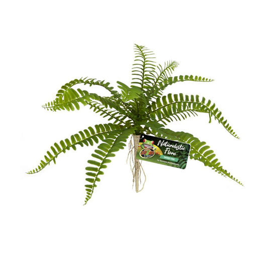 Zoo Med Naturalistic Flora® Sword Fern