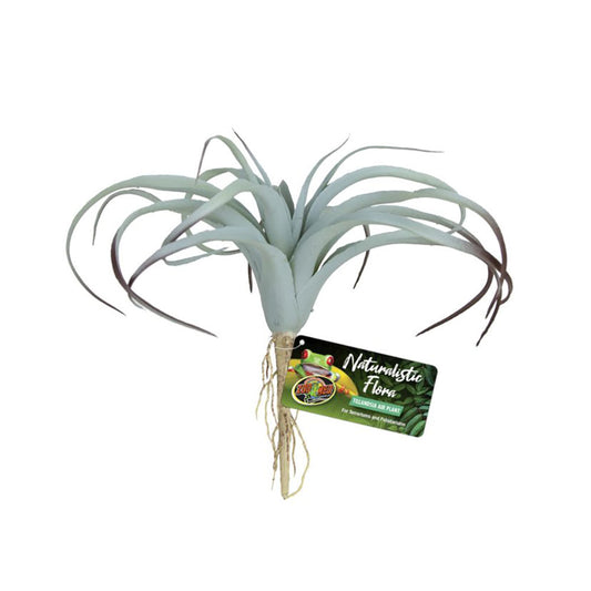 Zoo Med Naturalistic Flora® Tillandsia Air Plant