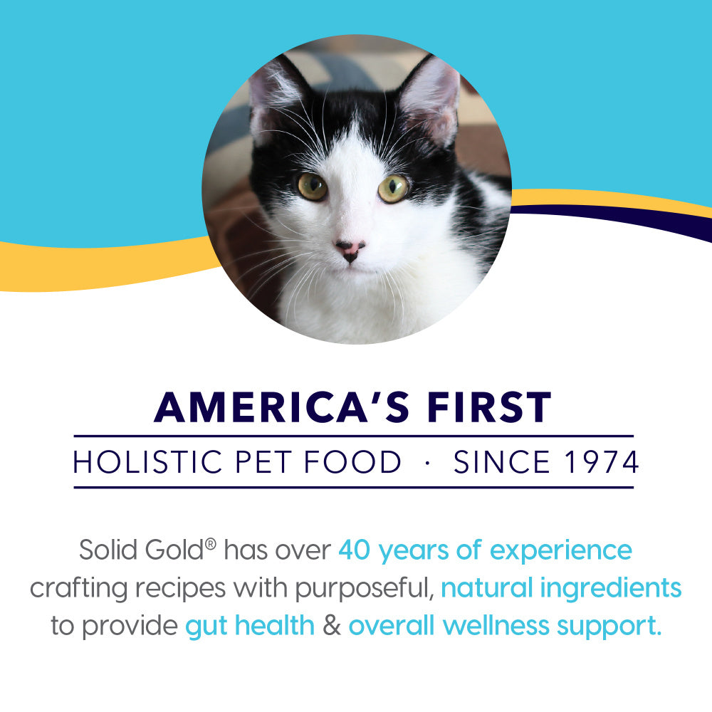 Solid Gold Grain Free Holistic Delights Tuna & Coconut Milk Creamy Bisque Cat Food Pouches