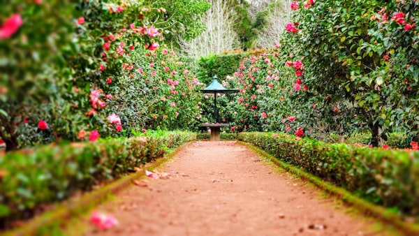 Shop home, garden and outdoor essentials